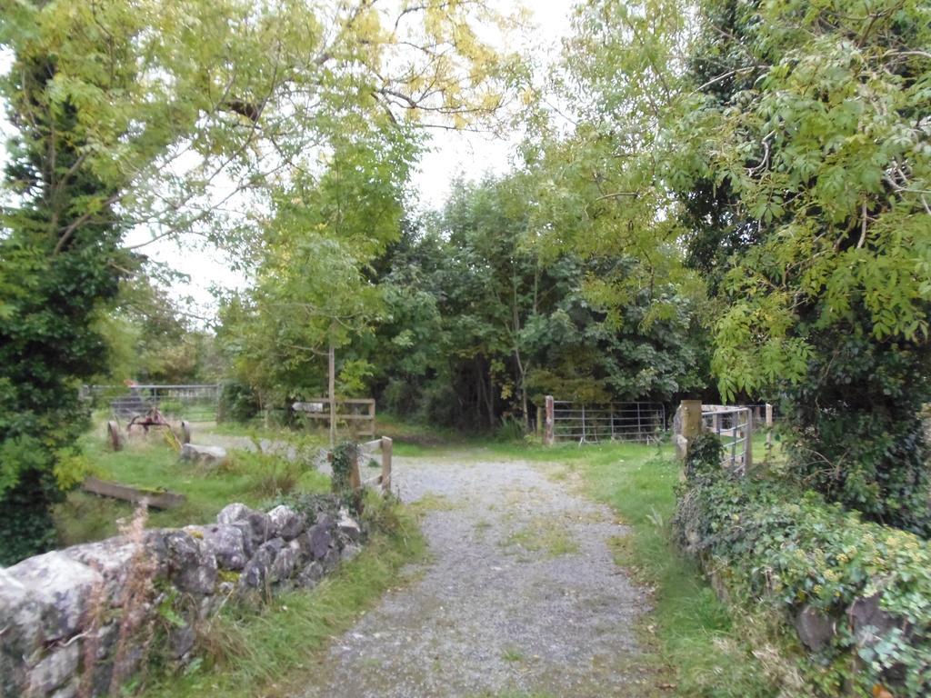 Caheroyn House Athenry Exteriör bild